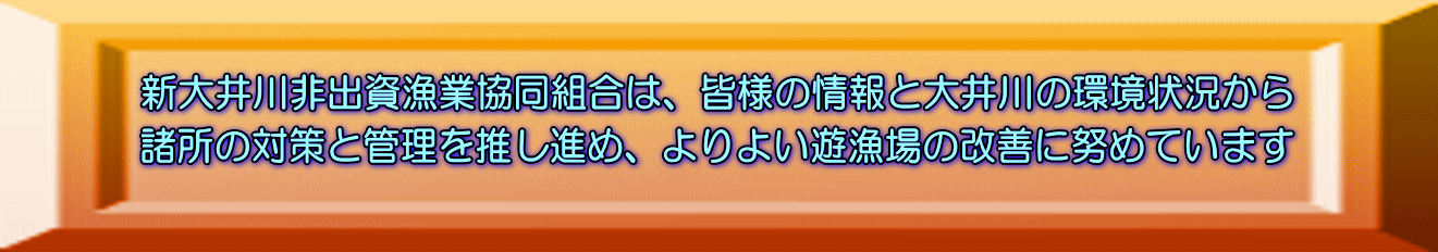新大井川非出資漁業協同組合は、皆様の情報と大井川の環境状況から 諸所の対策と管理を推し進め、よりよい遊漁場の改善に努めています 
