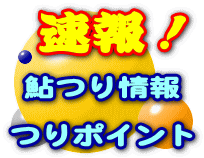 鮎つり情報  つりポイント