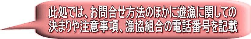 此処では、お問合せ方法のほかに遊漁に関しての 決まりや注意事項、漁協組合の電話番号を記載