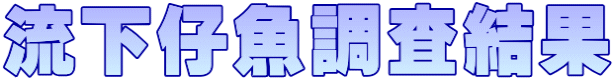 流下仔魚調査結果