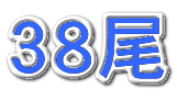 ３８尾
