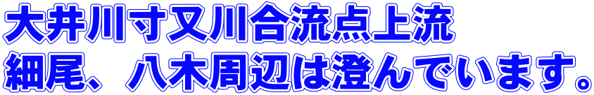 大井川寸又川合流点上流 細尾、八木周辺は澄んでいます。