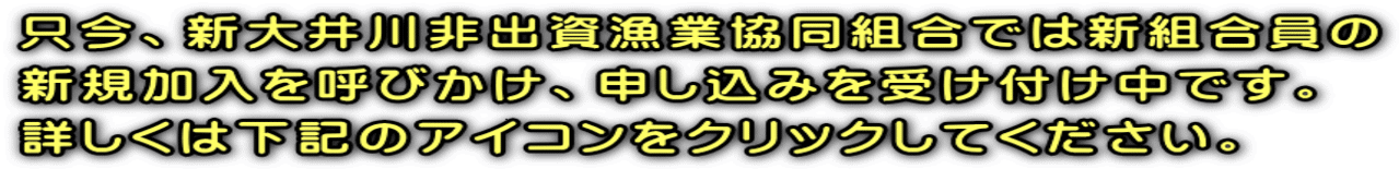 只今、新大井川非出資漁業協同組合では新組合員の 新規加入を呼びかけ、申し込みを受け付け中です。 詳しくは下記のアイコンをクリックしてください。