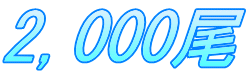 2,000尾