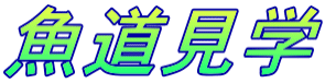 魚道見学
