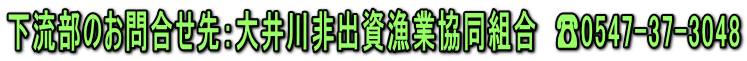 下流部のお問合せ先：大井川非出資漁業協同組合　☎0547-37-3048